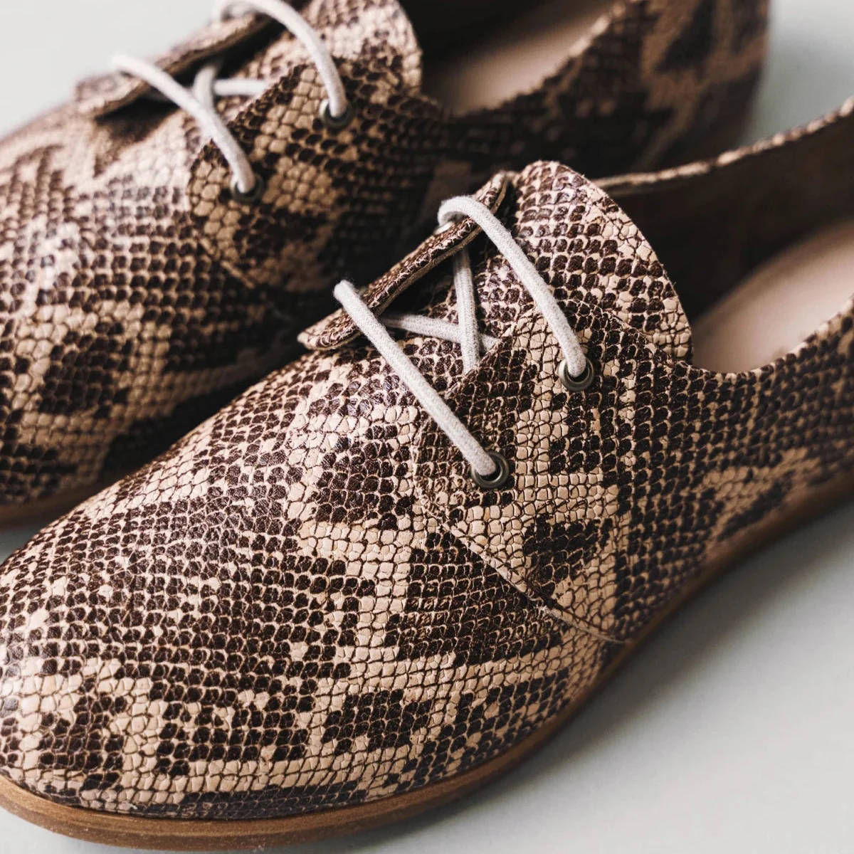 The Eyelet Oxford 2.0 Desert Snake - Image 5